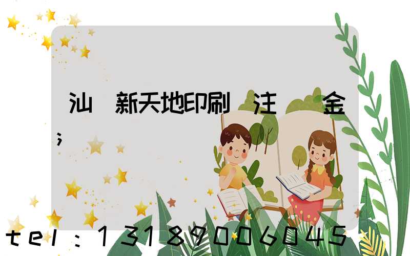 汕頭新天地印刷廠注冊資金